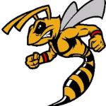 Stingers Logo