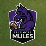 Baltimore Mulos Logo
