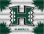 Hawaï Rainbow Warriors Logo