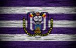 R.S.C Anderlecht Logo