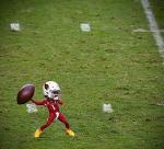 Half-Pint Hail Marys Logo