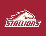 Birmingham Stallions Logo