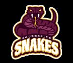Aggressive Snakes Logo