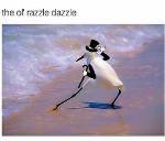 The Ol’ Razzle Dazzle Logo