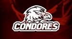 Cordoba Cóndores Logo