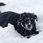 it's called soccer in America!! Logo