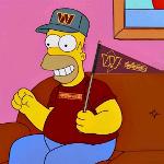 Superb owl 🦉 Logo