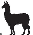BBQ LLAMA Logo