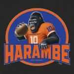 Nix Out for Harambe Logo