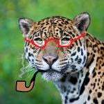 The Adroit Jaguars Logo