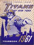 New York Titans Logo