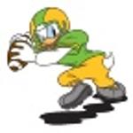 Raging Ducks Frieze Logo