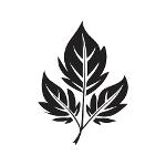 Leaf Logo