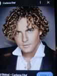David Bisbal Logo