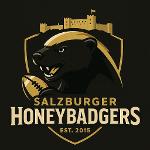 sbg honeybadger Logo
