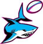 Miami Sharks Logo