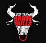 BRAVE BULLS Logo