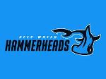 Deep Water Hammerheads Logo