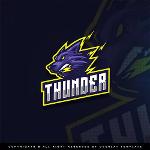 Midnight Thunder Logo