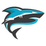 New England Needs Tom Logo