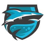 BroncosWillDominate Logo