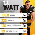 Puño de acero's Team Logo