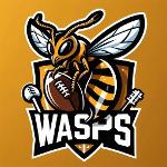 Massalfassar Wasps Logo