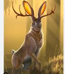 Jumping Jackalopes Logo