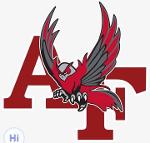 Cold Water Owls Logo