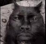 GoonerCoop's Team Logo