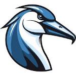 Blue Herons Logo