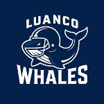 Luanco Whales Logo