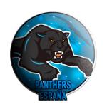 Carolina Panthers Logo