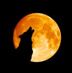 Bark at the Moon Logo