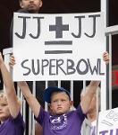 SKOL Defend the North Logo