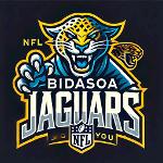 Bidasoa Jaguars Logo