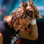 Premature Ejeantylation Logo