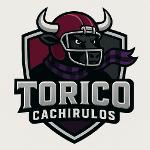 Torico Cachirulos Logo