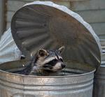 It’s garbage time! Logo