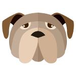 Nothing But Dawg Logo