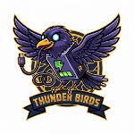 Thunder Birds Logo