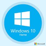 Windows 10 Holemz Logo