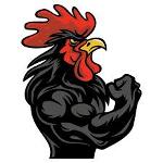 Fightin’ Chickens Logo