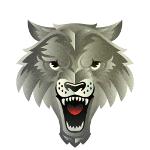 Naveen's Nifty Team Logo