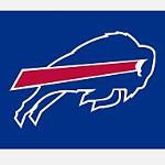 KAUSHIK BlackCaps Logo