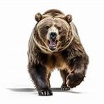 Running Bear Turd Pellets Logo