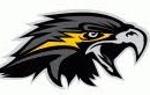 Steel City Nighthawks Logo