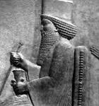 My Team is the Pitts Logo