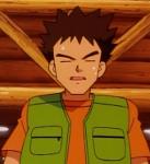 Hard as a Brock Logo