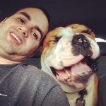 Mike Toy Man Jerome Logo